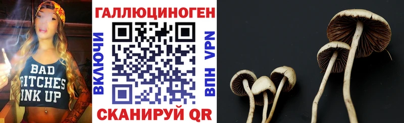 Псилоцибиновые грибы мицелий  Батайск 
